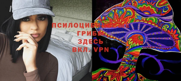 героин Михайлов