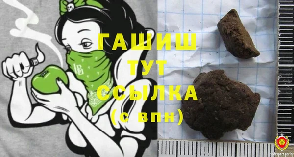 шишки Корсаков