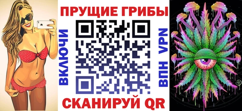 цена наркотик  Кологрив  Псилоцибиновые грибы GOLDEN TEACHER 