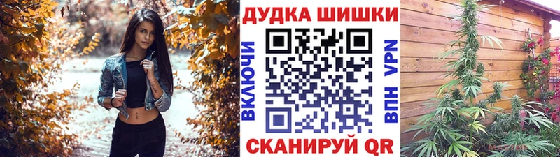 Бошки Шишки план  Кологрив 